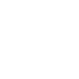 T4 Factory-Obiettivi-furturi-Consulenza-digitale Potenziamento dei servizi di consulenza digitale